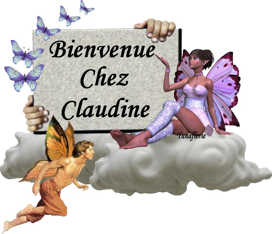 Cadeau pour Claudine11200